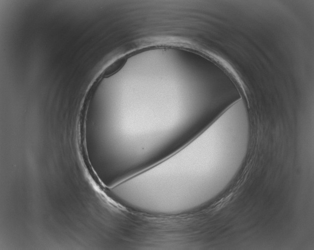 X0000084520999200702230833
