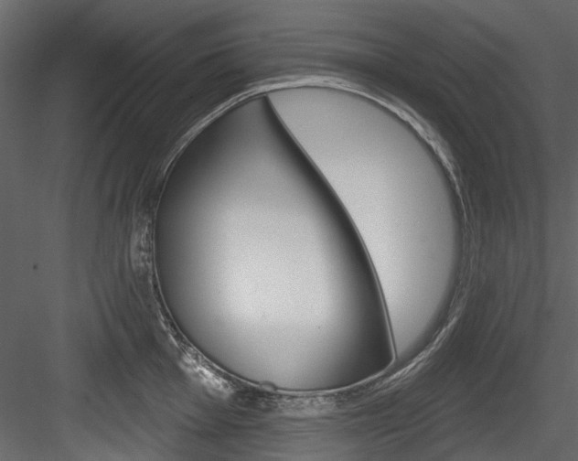 X0000084521001200702230833