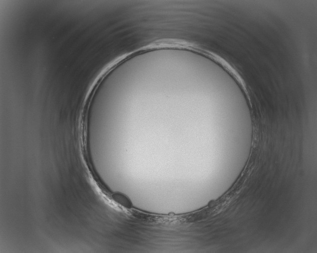 X0000084521003200702230833