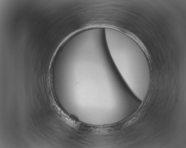 X0000084521004200702230833