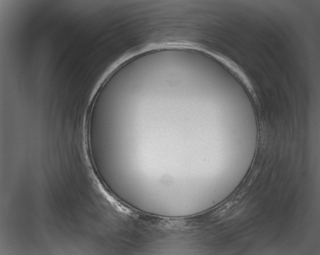 X0000084521006200702230833