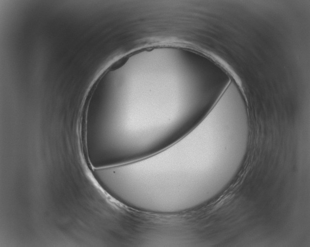 X0000084521007200702230833