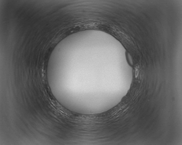 X0000084521011200702230832