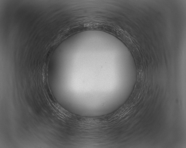 X0000084521012200702230832