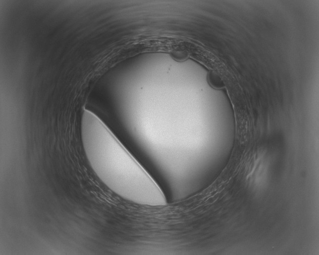 X0000084521013200702230832