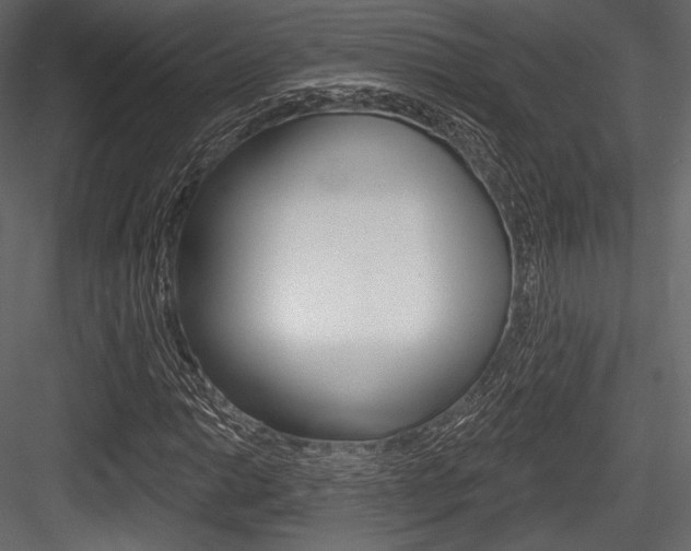 X0000084521014200702230832