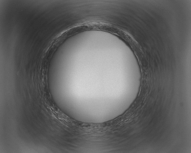 X0000084521016200702230832