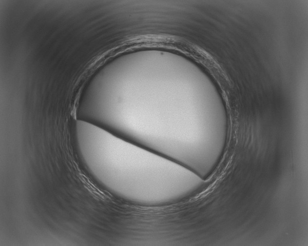 X0000084521017200702230832