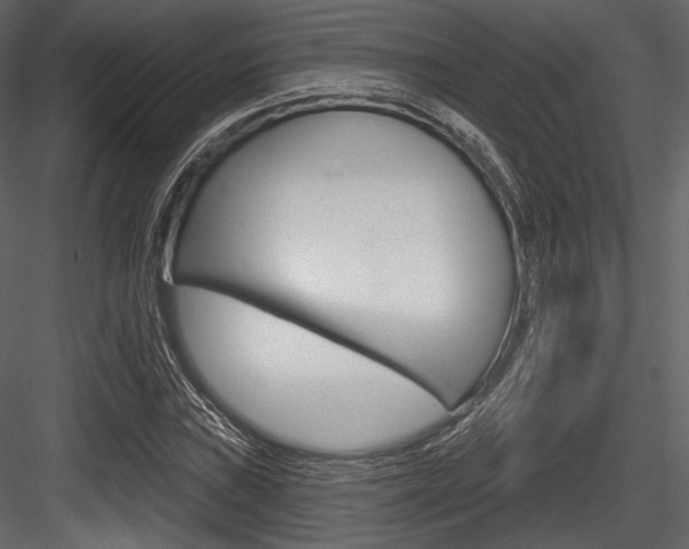 X0000084521019200702230832