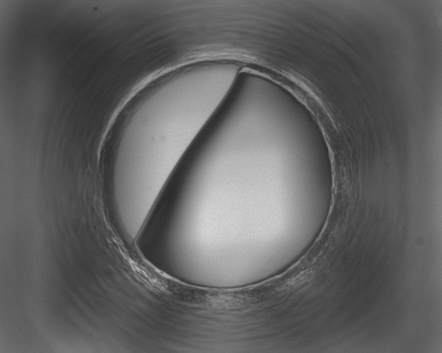 X0000084521022200702230832
