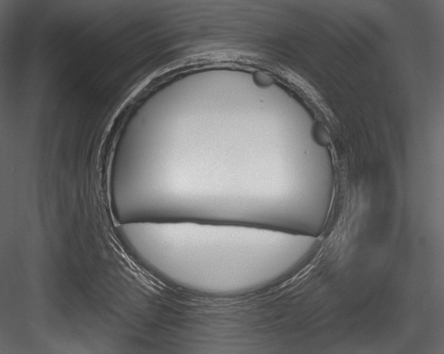 X0000084521023200702230832