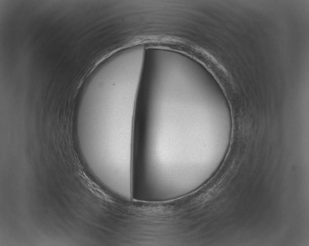 X0000084521025200702230832