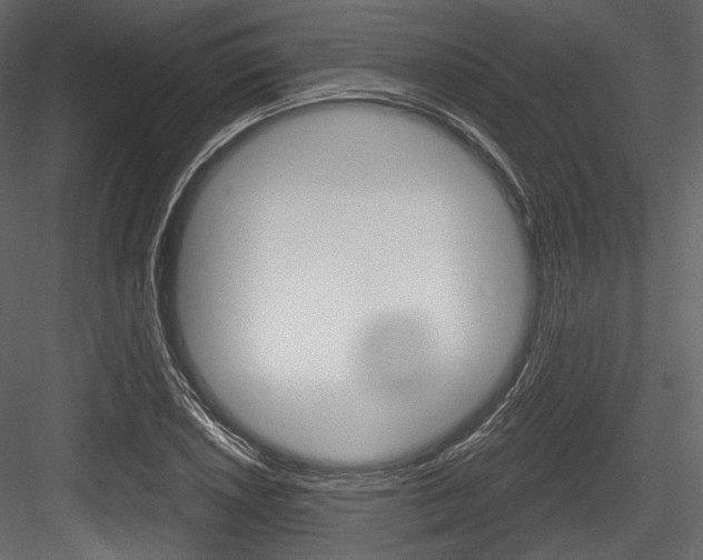 X0000084521026200702230832