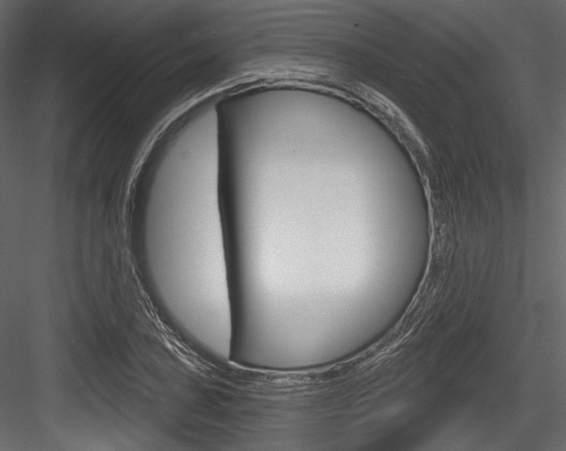 X0000084521027200702230832