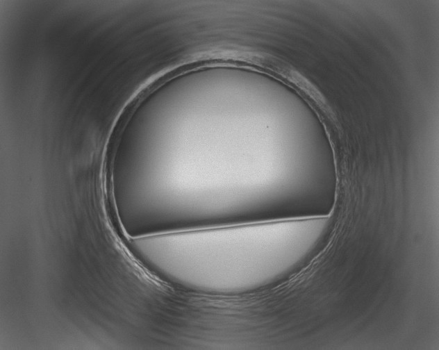 X0000084521028200702230832