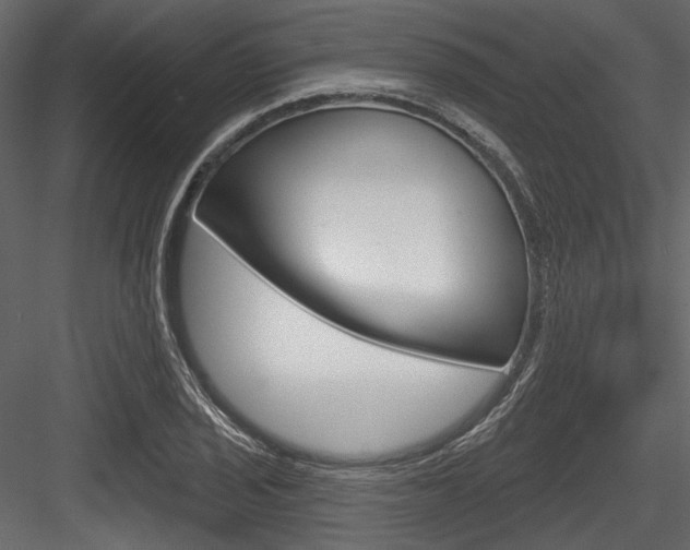 X0000084521029200702230832