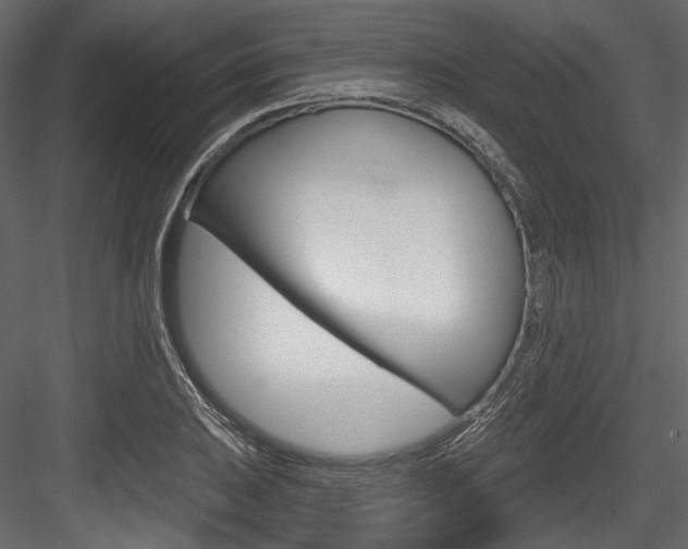 X0000084521031200702230832
