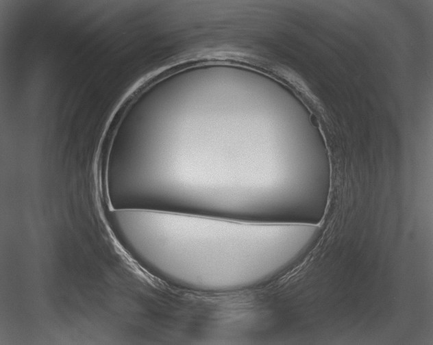 X0000084521032200702230832