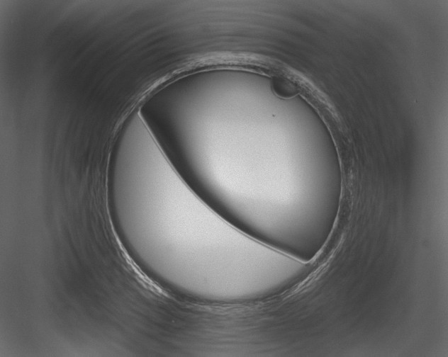 X0000084521033200702230832