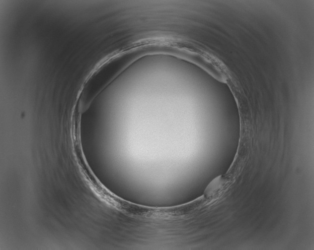 X0000084521034200702230832