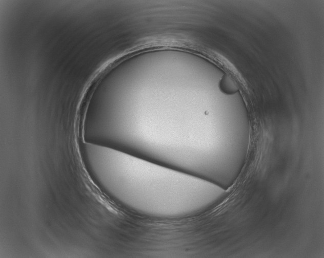 X0000084521035200702230832