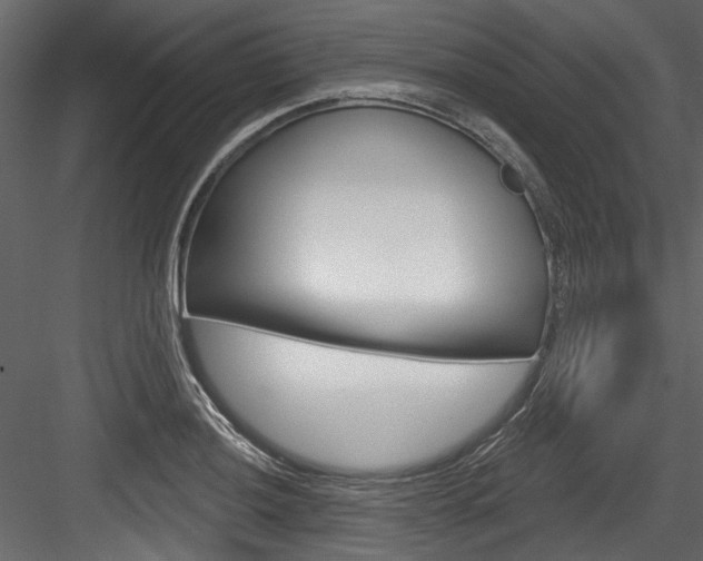 X0000084521036200702230832
