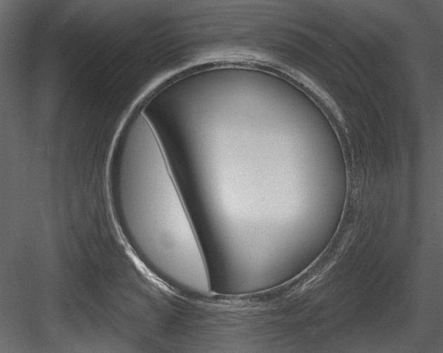 X0000084521037200702230832
