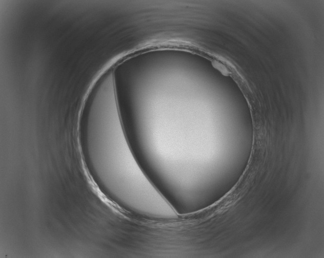X0000084521038200702230832