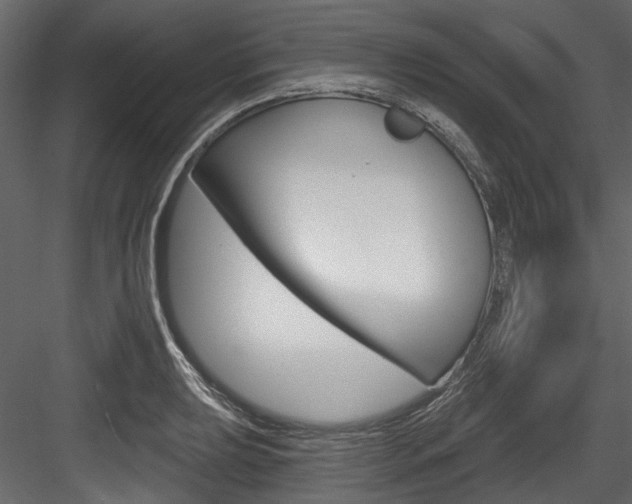 X0000084521039200702230832