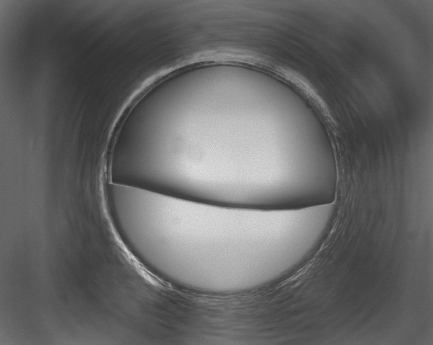 X0000084521040200702230832