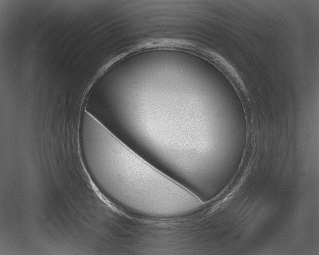 X0000084521041200702230832