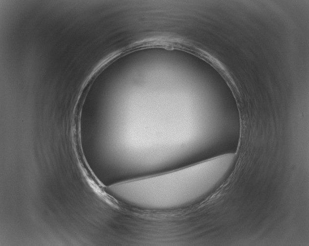 X0000084521042200702230832