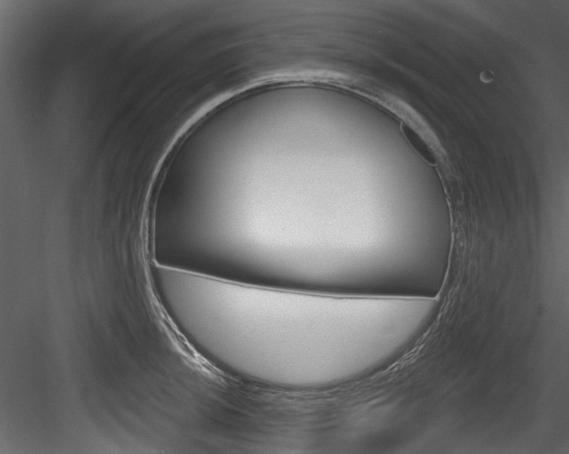 X0000084521044200702230832