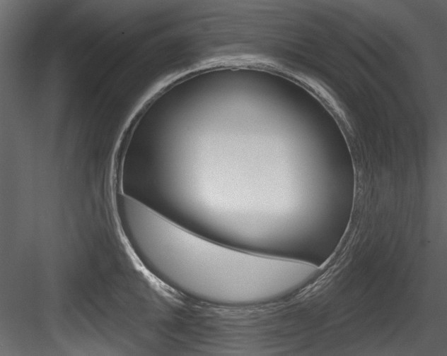 X0000084521046200702230832