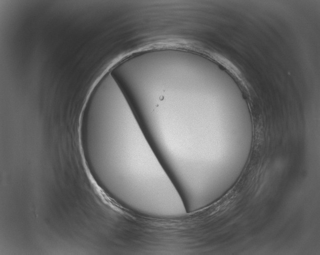 X0000084521047200702230832