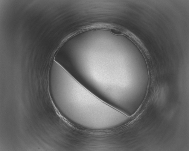 X0000084521049200702230833