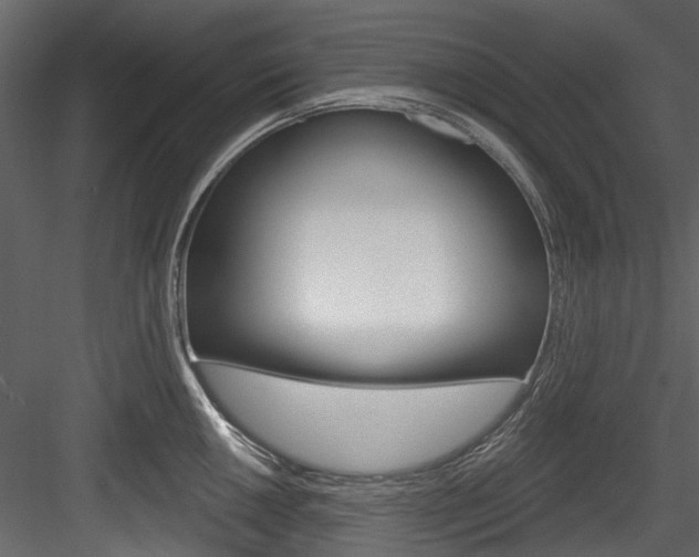 X0000084521050200702230833