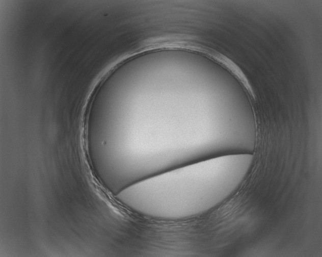 X0000084521051200702230833