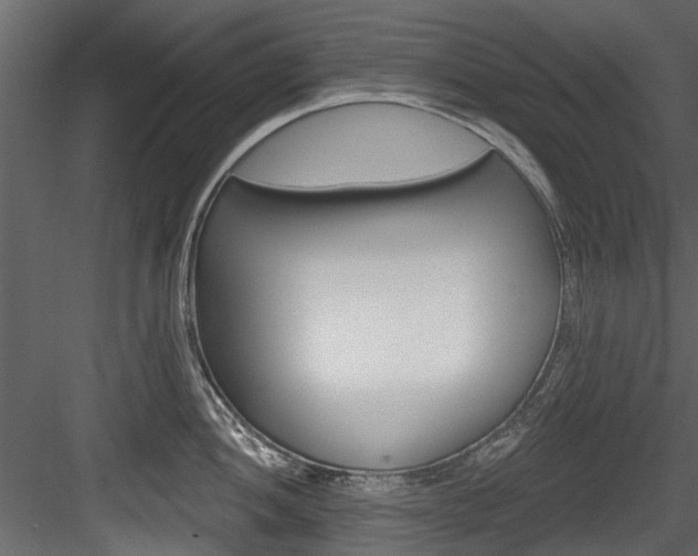 X0000084521052200702230833