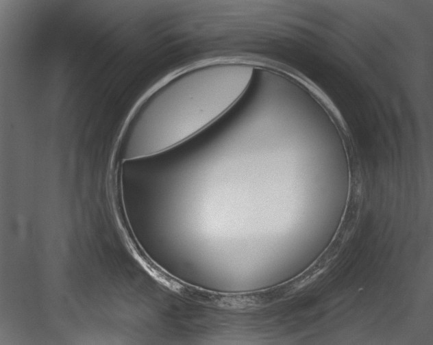 X0000084521053200702230833