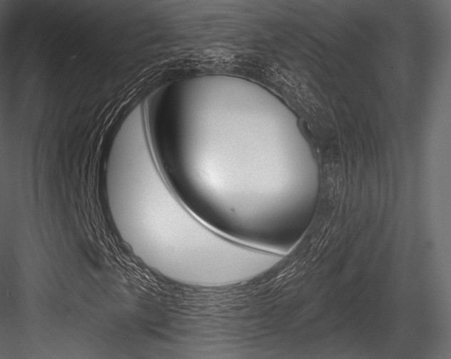 X0000084521057200702230832