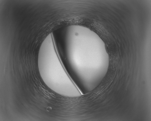 X0000084521058200702230832