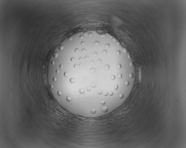X0000084521059200702230832