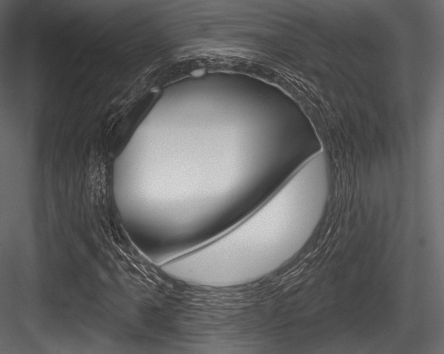 X0000084521061200702230832