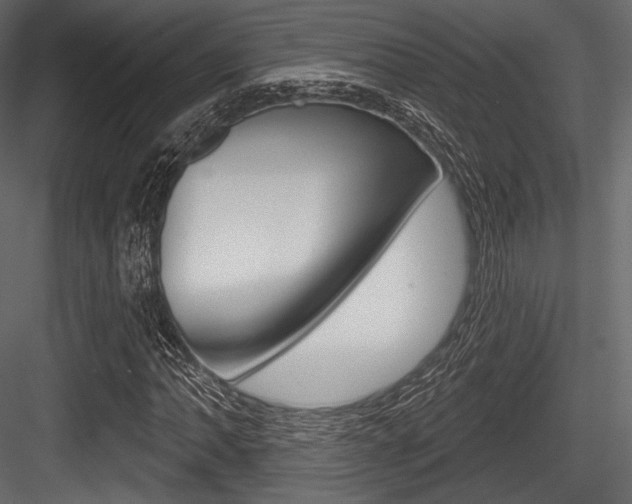 X0000084521062200702230832
