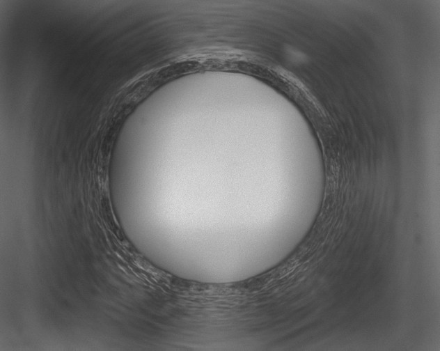 X0000084521063200702230832