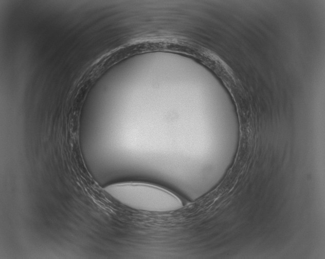X0000084521064200702230832