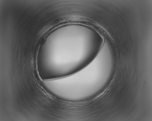 X0000084521065200702230832