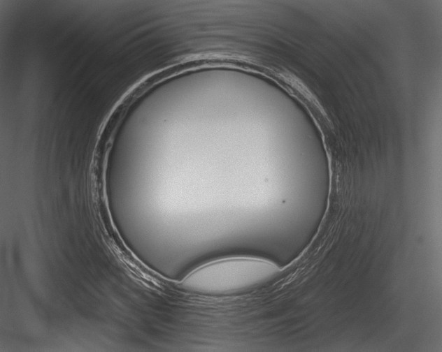 X0000084521068200702230832