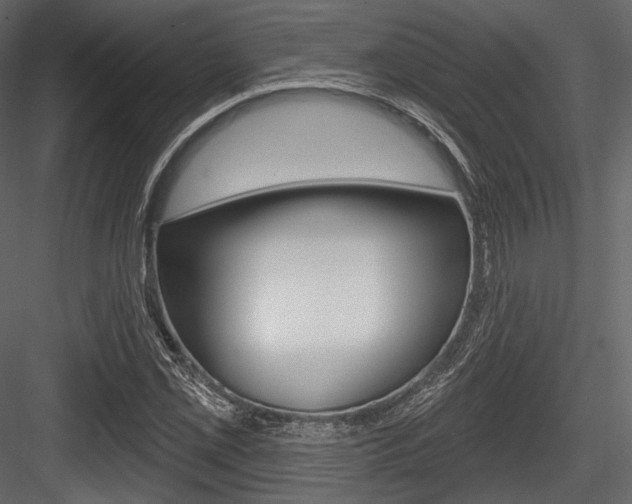X0000084521069200702230832